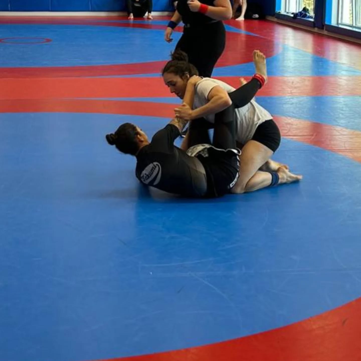 Celebrado el Campeonato Navarro de Grappling U20 y Sénior 2025